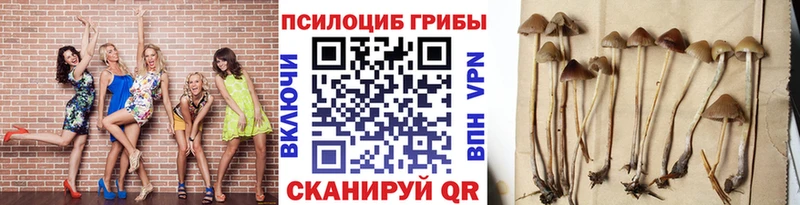 Псилоцибиновые грибы ЛСД  мега ТОР  Братск 