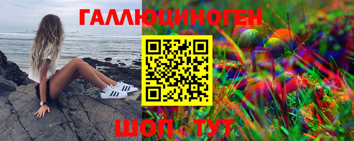 Псилоцибиновые грибы Cubensis Братск