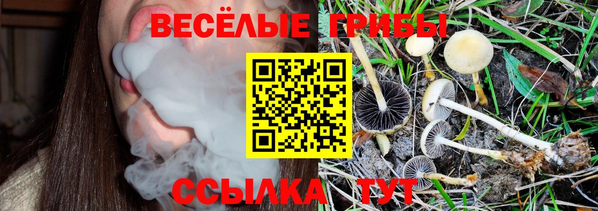 Галлюциногенные грибы GOLDEN TEACHER  Вход с VPN  Братск  Псилоцибиновые грибы Psilocybe 